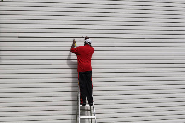 Best Siding for New Construction  in Springville, UT